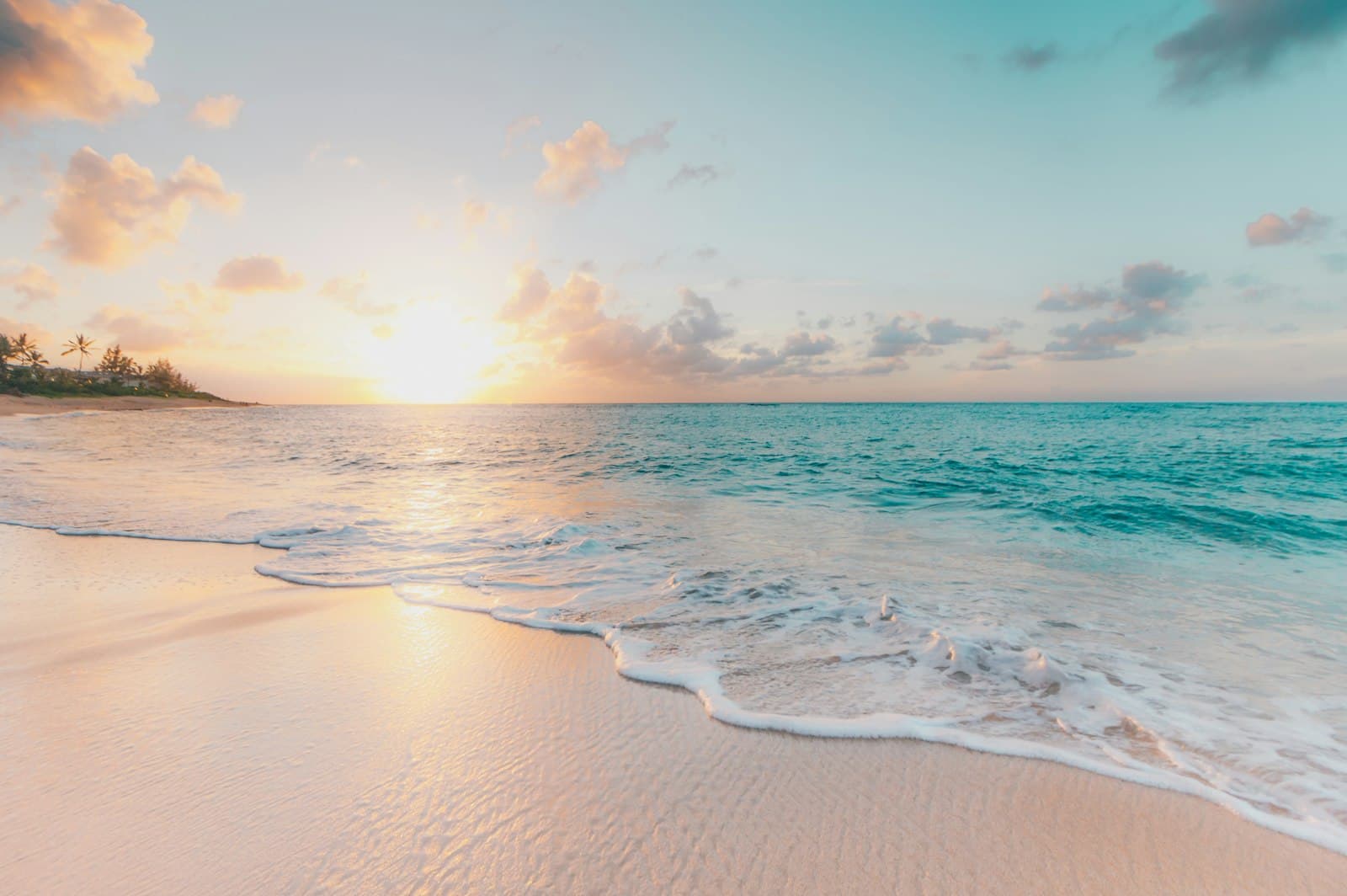 Tropical beach with clear turquoise water and palm trees